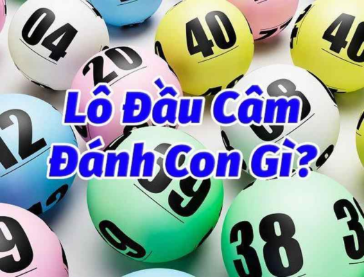 Giải đáp thắc mắc cho các tân thủ Lô đầu câm đánh con gì